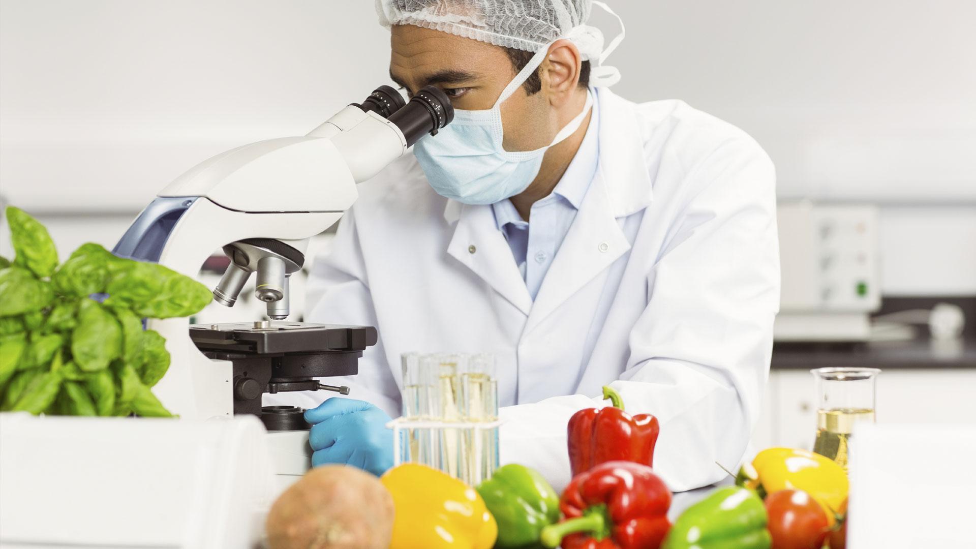 Исследование пестицидов. Овощи в лаборатории. Исследование пищевых продуктов. Контроль качества пищевых продуктов. Лабораторные исследования продуктов.